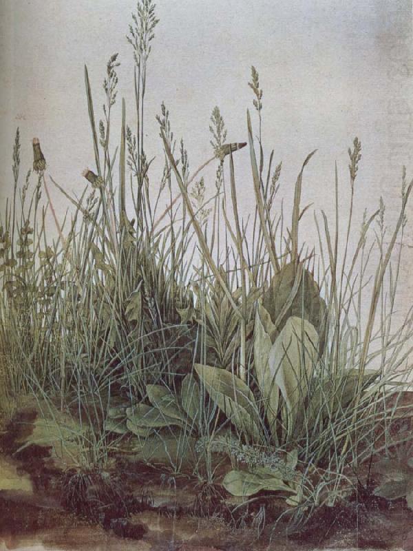A large grass, unknow artist